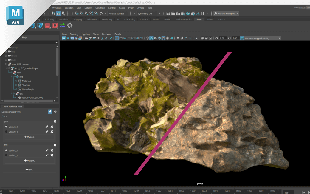 OpenUSD - USDVariantSetup
